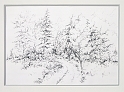 Forest Path 2, 15x22 inches, graphite pencil, 2014